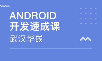 武漢華嵌科技教育